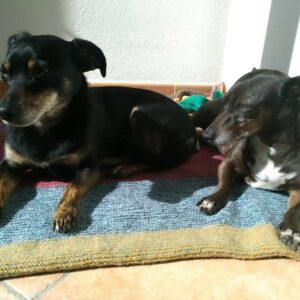 Milly e Nerina